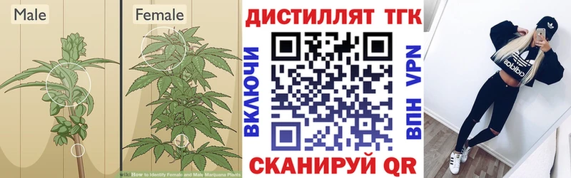 ТГК жижа  что такое наркотик  Суоярви 