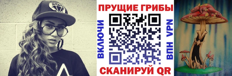 Галлюциногенные грибы Psilocybe  купить  сайты  Суоярви 
